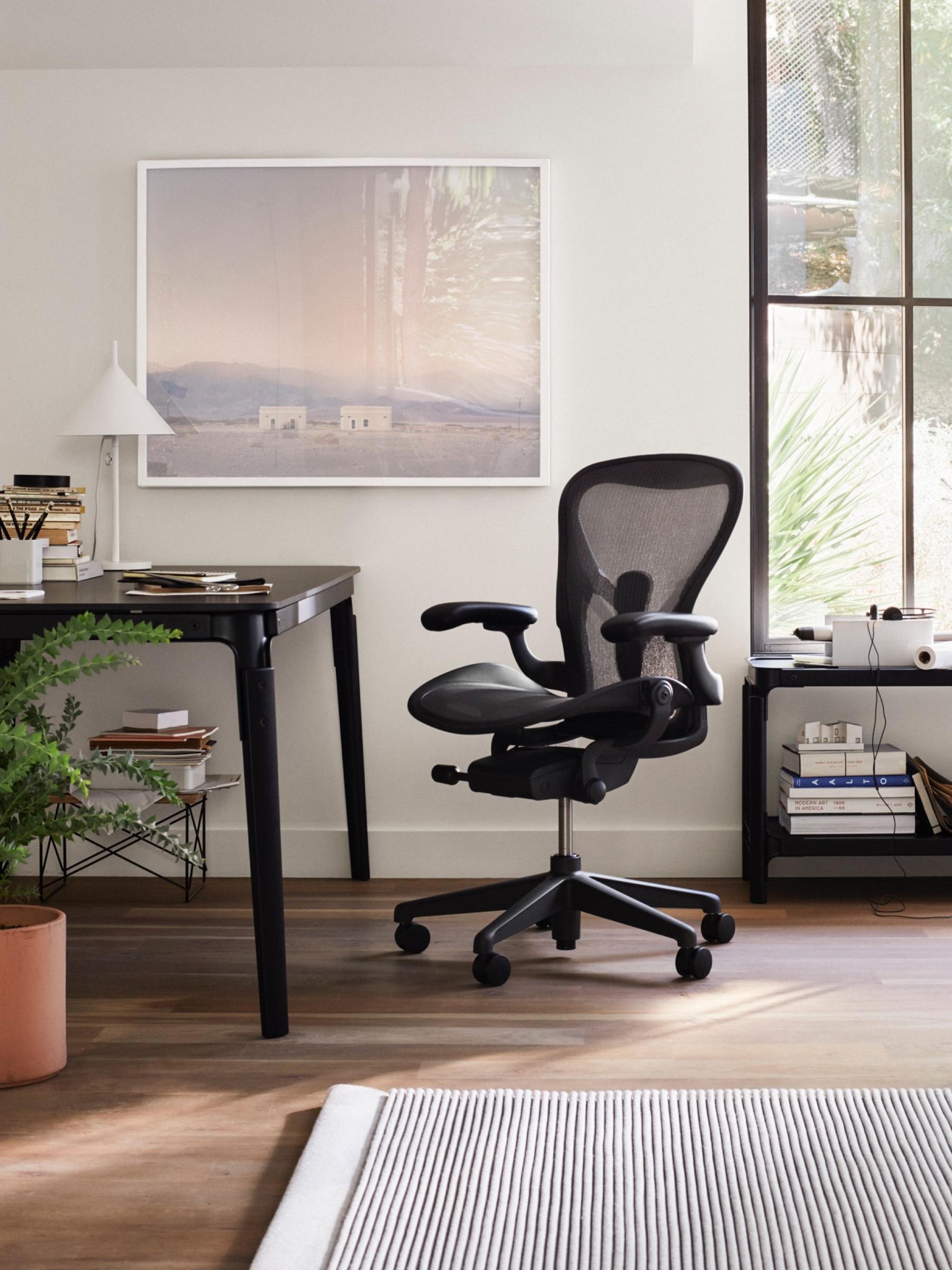 Aeron Office Chairs 2195348 Gallery11 